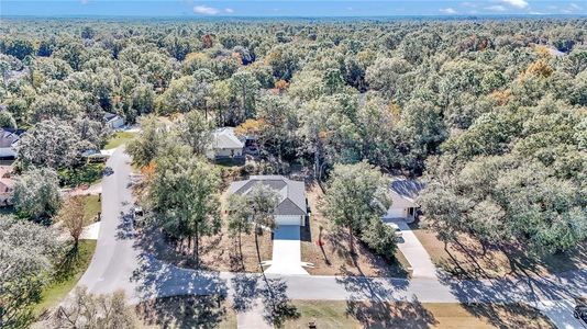 New construction Single-Family house 19610 Sw 93Rd Pl, Dunnellon, FL 34432 null- photo 42 42