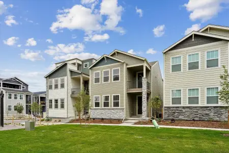 New construction Single-Family house 3059 Curly Grove, Colorado Springs, CO 80922 plan Clover - image