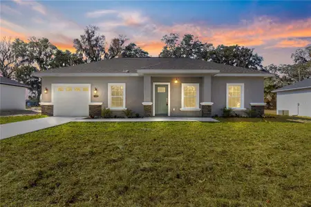 New construction Single-Family house 15223 Se 61St Ct, Summerfield, FL 34491 - image