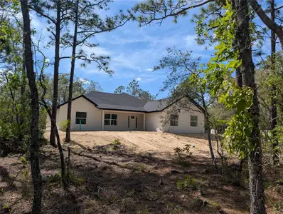 New construction Single-Family house 8334 Sw 122Nd Ave, Dunnellon, FL 34432 - image