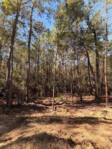 New construction Single-Family house 4578 Blue Agave Wy, Montgomery, TX 77316 plan Vizcaya  - image