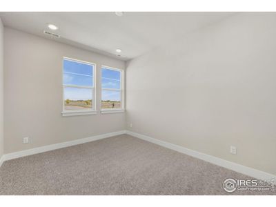 New construction Single-Family house 5795 Gianna Dr, Timnath, CO 80547 plan 3 - image 13