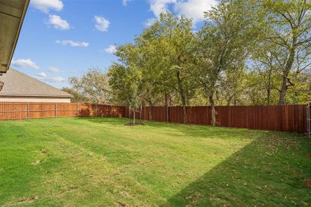 New construction Single-Family house 732 Jameson, Springtown, TX 76082 - photo 34 34