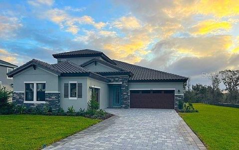 New construction Single-Family house 10156 Meadowrun Drive, Lithia, FL 33547 - photo 0