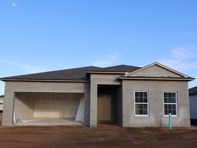 New construction Single-Family house 12274 Stirrup Dr, Dade City, FL 33525 plan Marque - image