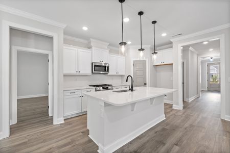 New construction Single-Family house 9101 Dupree Meadow Dr, Angier, NC 27501 plan The Ellery - image 13