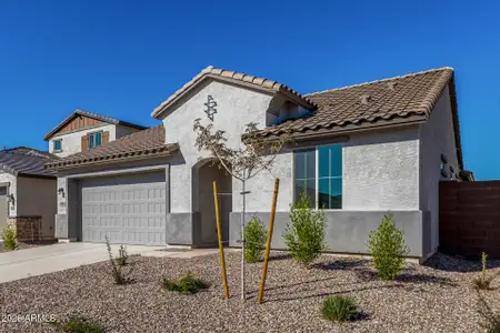 New construction Single-Family house 2928 E Mecklenburg Wy, San Tan Valley, AZ 85143 plan Plan 4003 - image