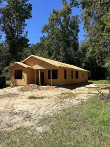 New construction Single-Family house 118 Blanchard St, Walterboro, SC 29488 - image