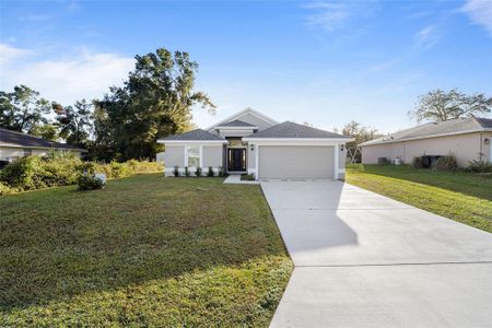 New construction Single-Family house 16417 Se 87Th Court, Summerfield, FL 34491 - photo 0