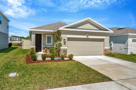 New construction Single-Family house 17965 Dairy Farm Ct, Land O' Lakes, FL 34638 null- photo 3 3