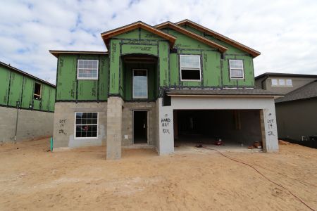 New construction Single-Family house 12134 Hilltop Farms Dr, Dade City, FL 33525 Malibu- photo 63 63