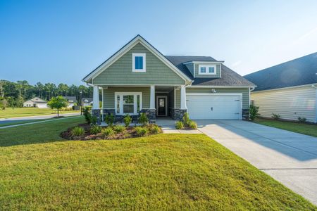 New construction Single-Family house 1046 Annes Revenge Run, Summerville, SC 29485 - image