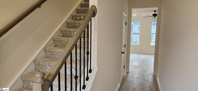 New construction Single-Family house 418 Barbican Pl, Greenville, SC 29605 plan Hidden Creek II - image 7