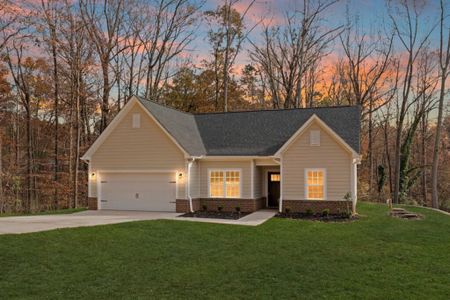 New construction Single-Family house Haida Court, Gastonia, NC 28056 - photo 0