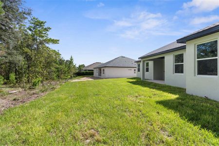 New construction Single-Family house 3 Lupine St, Homosassa, FL 34446 - image