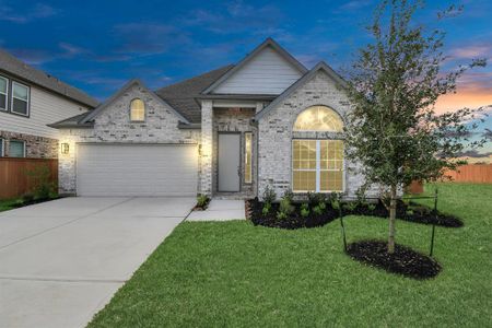 New construction Single-Family house 22115 Terra Falls Drive, Hockley, TX 77447 - photo 0