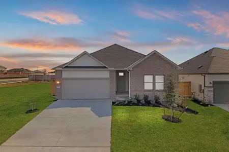 New construction Single-Family house 13621 Gray Landing Dr, Elgin, TX 78621 plan Young - image
