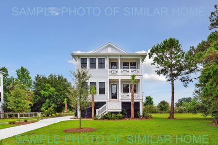 New construction Single-Family house 1409 Lieben Road, Mount Pleasant, SC 29466 - photo 0