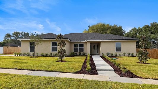 New construction Single-Family house 230 Cattail Ct, Orlando, FL 32806 - image