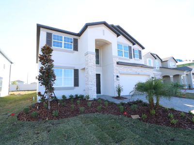 New construction Single-Family house 38338 Tobiano Loop, Dade City, FL 33525 Mira Lago- photo 125 125