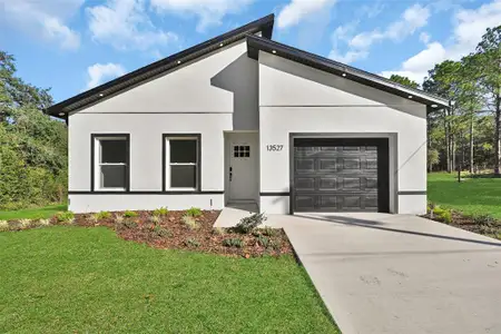 New construction Single-Family house 13527 Sw 100Th Ln, Dunnellon, FL 34432 - image