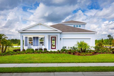 New construction Single-Family house 298 Prickly Pear Ct, Lady Lake, FL 32159 Panama- photo 0 0