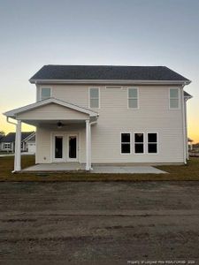 New construction Single-Family house 104 Sunny Areas Ln, Clinton, NC 28334 - image