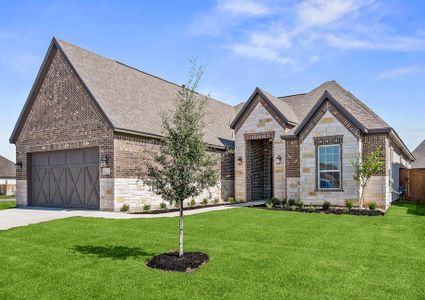 New construction Single-Family house 17228 Autumn Falls Dr, Manor, TX 78653 - photo 0