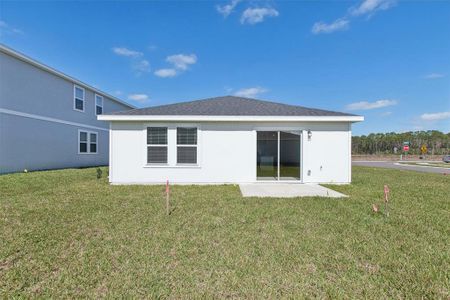 New construction Single-Family house 28 Sandy Ln, Palm Coast, FL 32137 Denali- photo 36 36