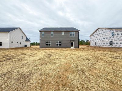 New construction Single-Family house 4045 Blue Springs Rd, Red Springs, NC 28377 - image