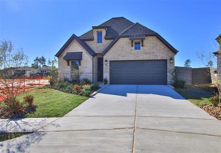 New construction Single-Family house 15902 Peachy Palm Ct, Grangerland, TX 77302 null- photo 0 0