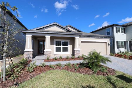 New construction Single-Family house 33227 Amling Pecan Br, Wesley Chapel, FL 33545 Newport II- photo 123 123