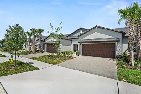 New construction Single-Family house 10911 Rustic Eve Ct, Land O' Lakes, FL 34638 plan Aurora II* - image