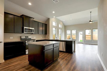 Emberly by Tricoast Homes in Beasley - photo 9 9