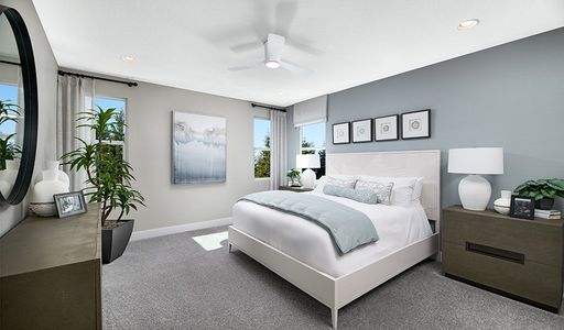 New construction Single-Family house 6323 Steppes Wy, Loveland, CO 80538 plan Coronado - image 5