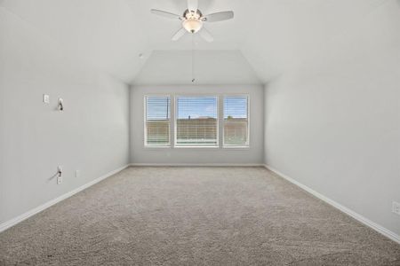New construction Single-Family house 1438 Golden Meadow Dr, Van Alstyne, TX 75495 Camden DEF- photo 14 14