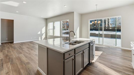 New construction Single-Family house 16840 Mckay Dr, Mead, CO 80542 Minturn- photo 5 5