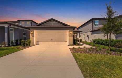 New construction Single-Family house 9025 Wildlight Trl, Wildwood, FL 34785 plan Daylen - image