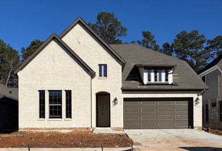 New construction Single-Family house 9162 Grand Jubilee Dr, Montgomery, TX 77316 plan Colleyville - image
