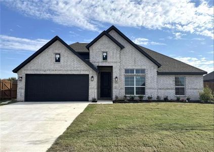 New construction Single-Family house 366 Paddle Boat Drive, Granbury, TX 76033 - photo 0