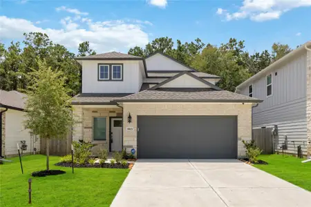 New construction Single-Family house 18672 Presswood Wy, New Caney, TX 77357 - image