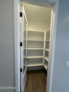 Kitchen Pantry