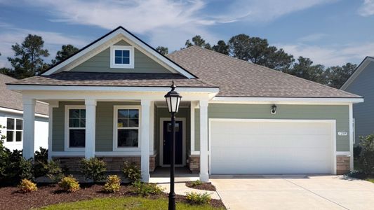 New construction Single-Family house 1209 Woodhouse Dr Nw, Ash, NC 28420 plan Aria - image