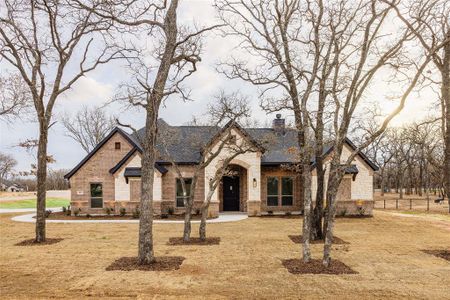 New construction Single-Family house 153 Clayton Crossing, Springtown, TX 76082 - photo 0