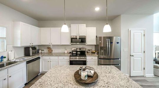 New construction Single-Family house 735 Cherokee Rose, Bremen, GA 30110 plan Rose - image 11