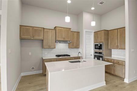 New construction Single-Family house 600 C-Bar Ranch Trl, Unit 132, Cedar Park, TX 78613 plan Cross Creek 1573 - image 14