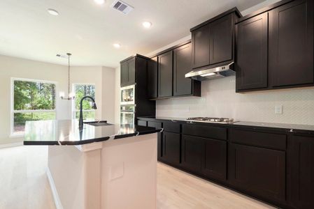 New construction Single-Family house 13435 Maverick Trl, Conroe, TX 77303 - image 4