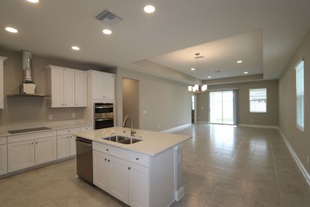 New construction Single-Family house 4763 Beachrose Way, Lakeland, FL 33811 Picasso- photo 61 61