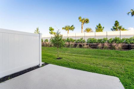 New construction Townhouse house 3145 Novara Ln, Lakewood Ranch, FL 34211 Jasmine- photo 31 31