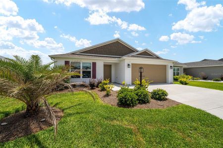 New construction Single-Family house 1576 Good Pl, The Villages, FL 34762 - image 19